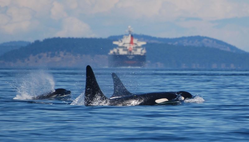 San Juan Islands, Washington