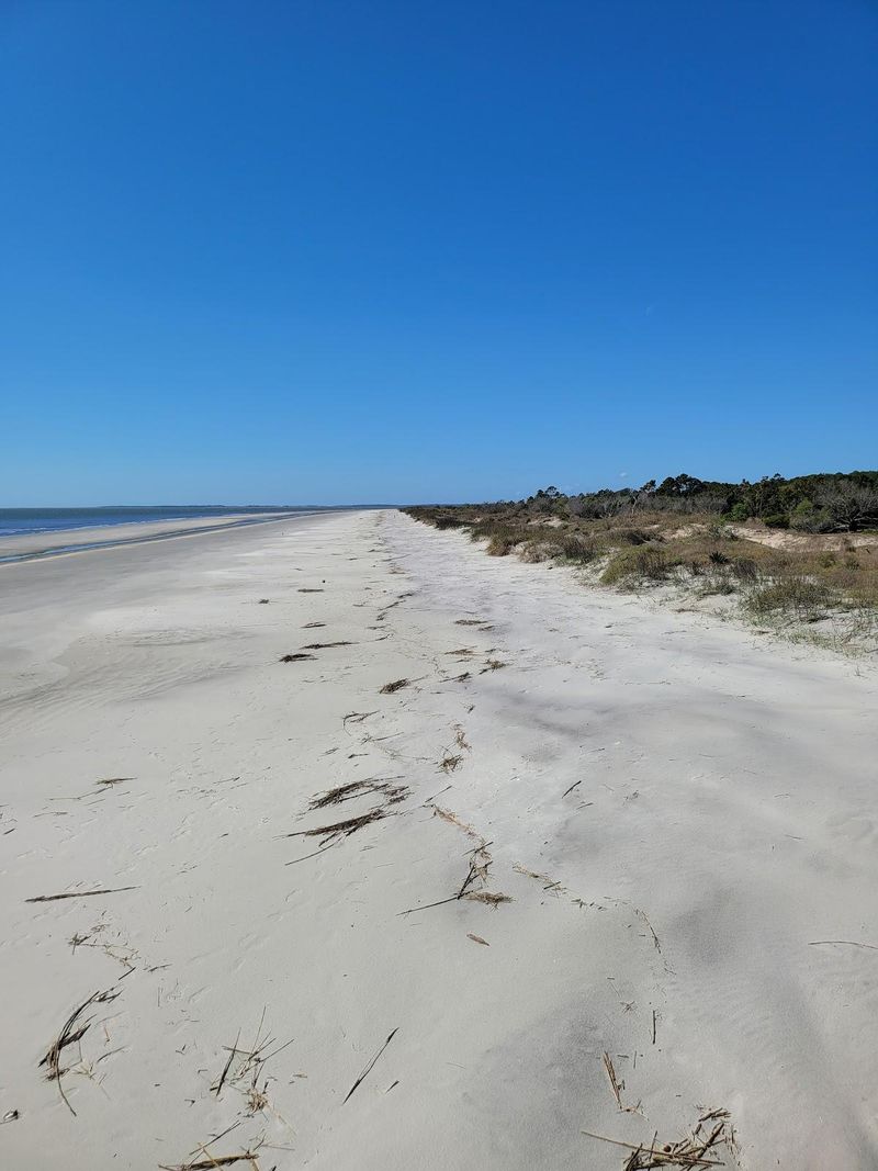 Nanny Goat Beach, Sapelo Island (ferry access)