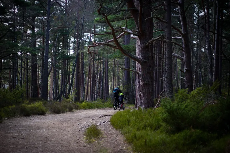 On the Move: New Mountain Bike Trails