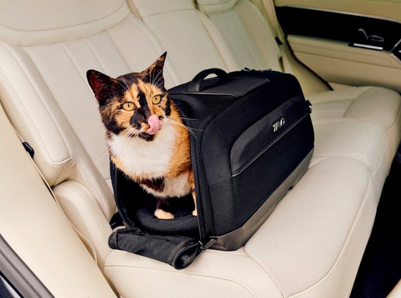 Tavo Dupree Carry-On: Car-to-Cabin Convenience
