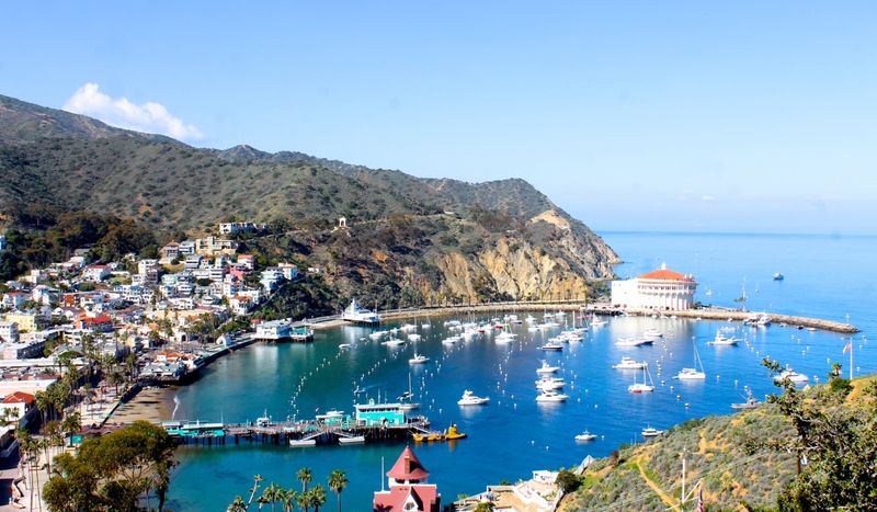 Santa Catalina Island: California's Mediterranean Mirage