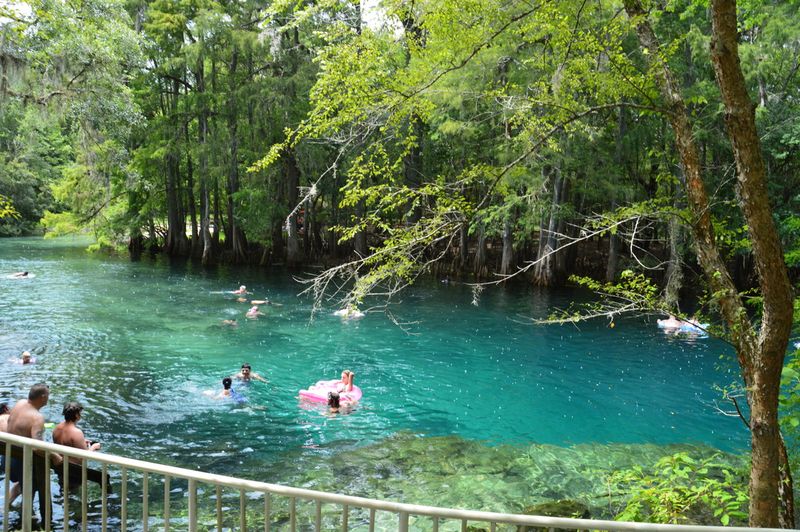 Manatee Springs State Park — near Chiefland