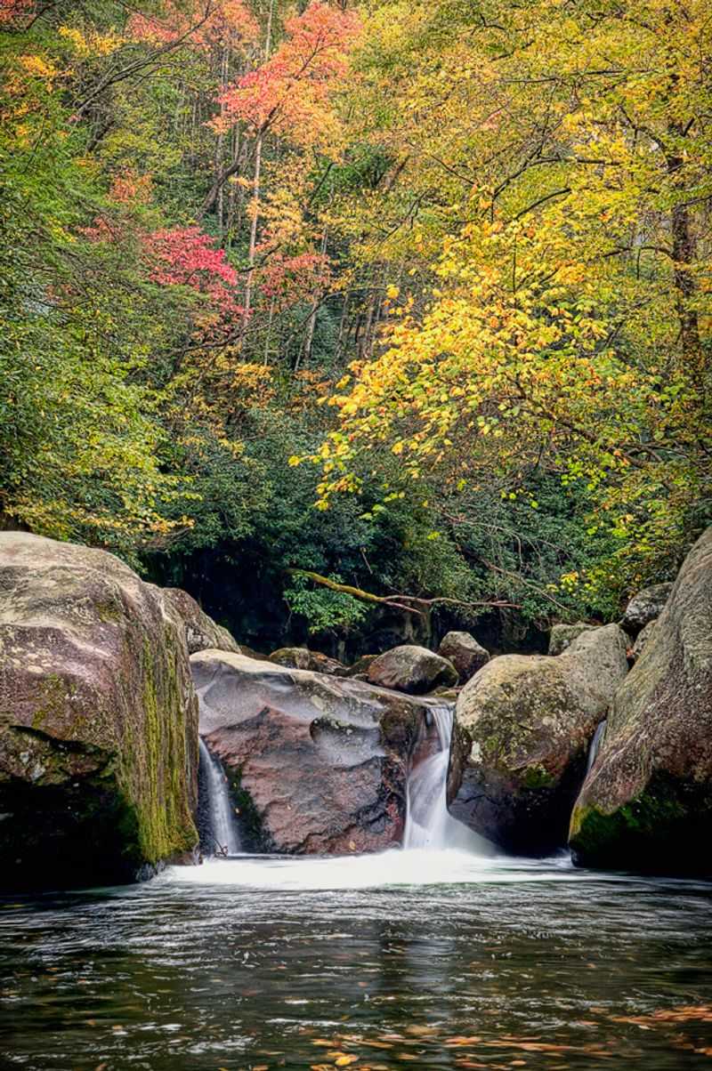 Big Creek Trail to Midnight Hole & Mouse Creek Falls