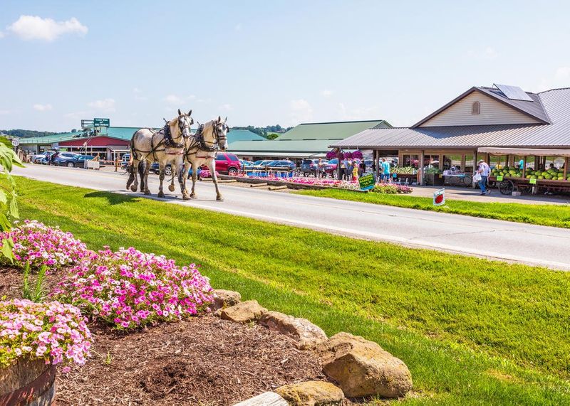 Hershberger’s Farm & Bakery – Millersburg