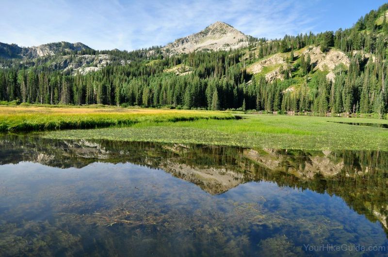 Silver Lake Boardwalk (Brighton, Big Cottonwood)