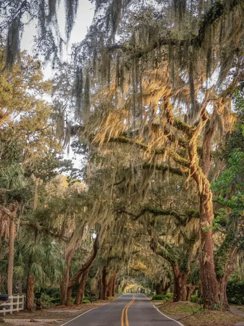 St. Simons Island, Georgia—Low-Key and Lovingly Overlooked