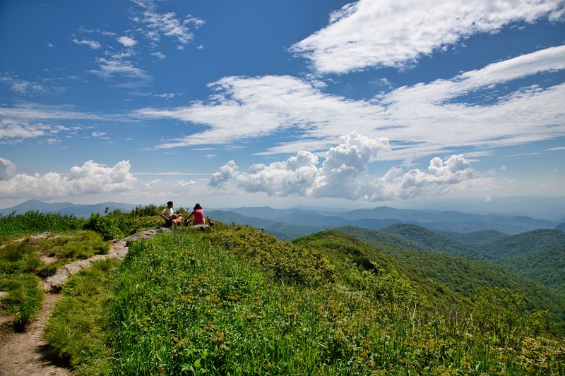 Black Balsam Knob & Tennent Mountain