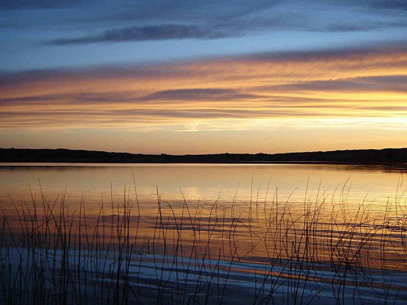 Watts Lake