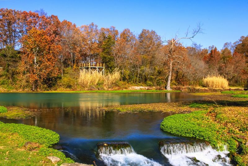 Enjoy Perfect Family Picnic Spots