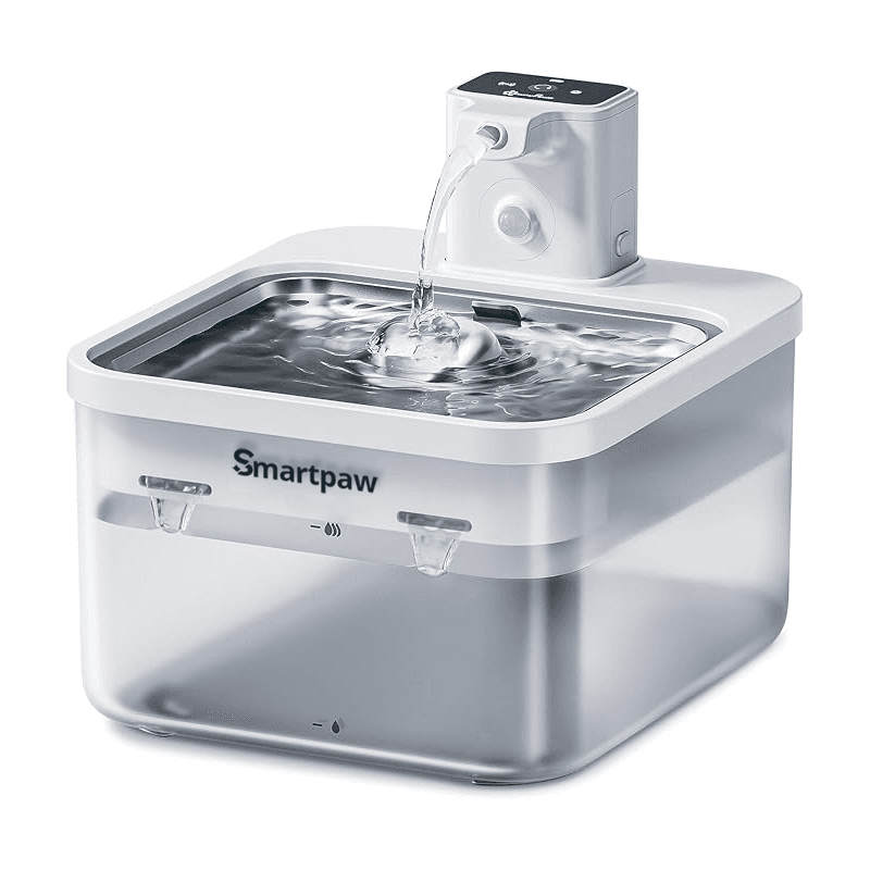 Portable Fountain-Style Bowl
