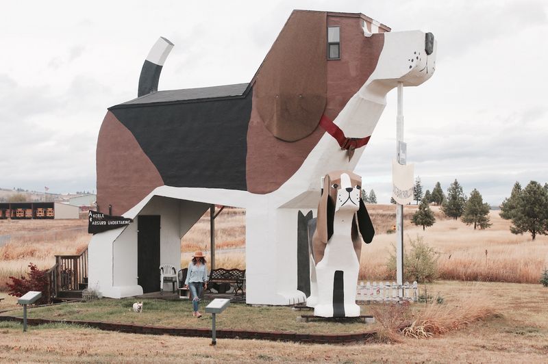 Dog Bark Park Inn – Cottonwood, Idaho