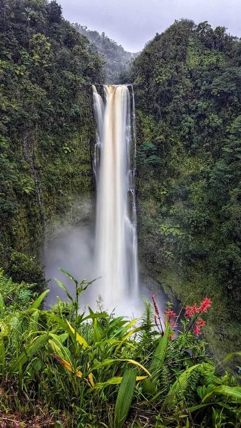 Marvel at Akaka Falls State Park's Natural Theater