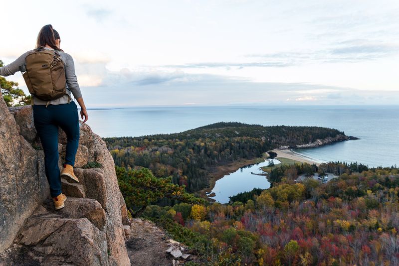 Conquer the Thrilling Beehive Trail Adventure