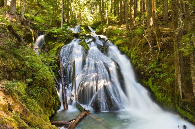 Little Zigzag Falls — near Government Camp (Mt. Hood corridor)