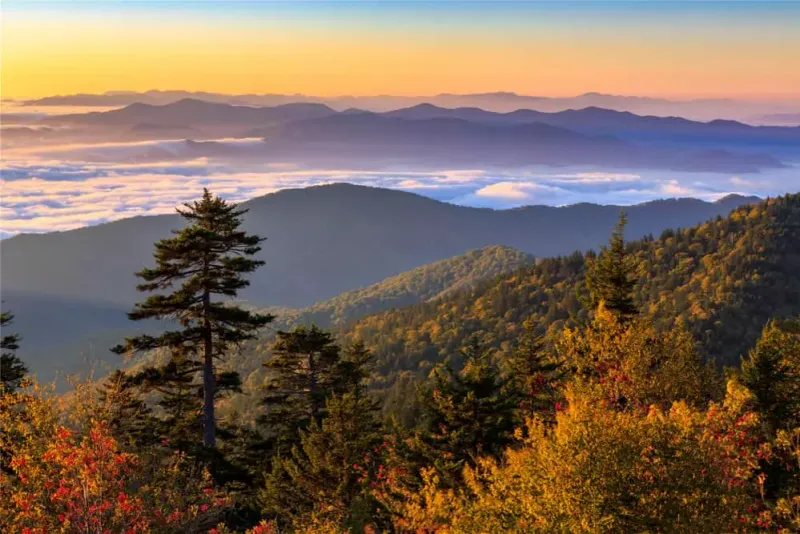 Great Smoky Mountains - Misty Mountain Detour