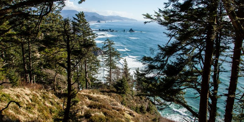 Scenic Hiking Trails – The Clatsop Loop Trail and Indian Beach Trail offer varied difficulty levels and incredible scenery