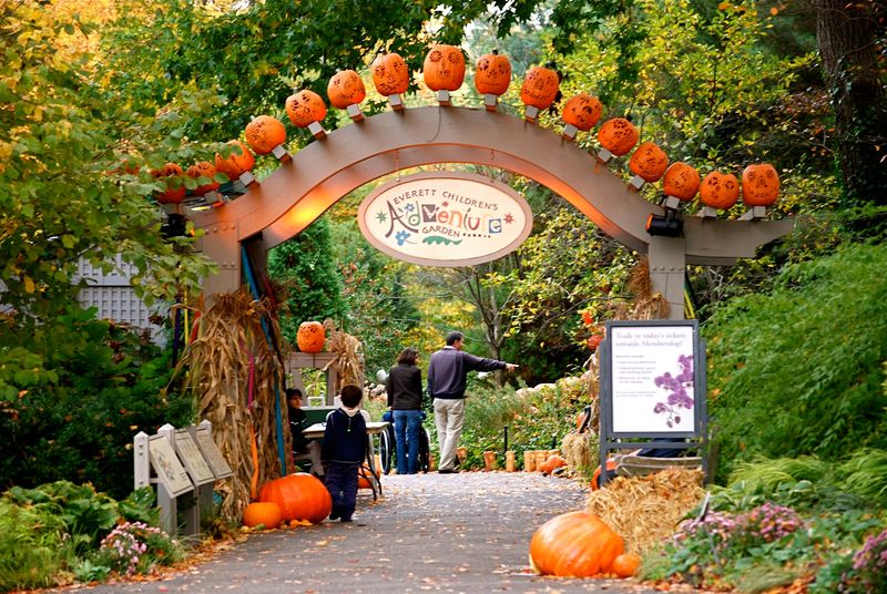 Go all-in on pumpkins at NYBG Fall-O-Ween