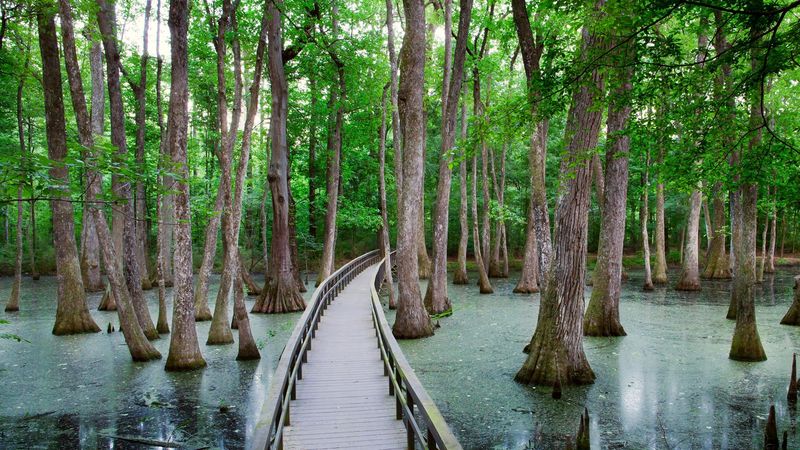 Scenic Mississippi Locations