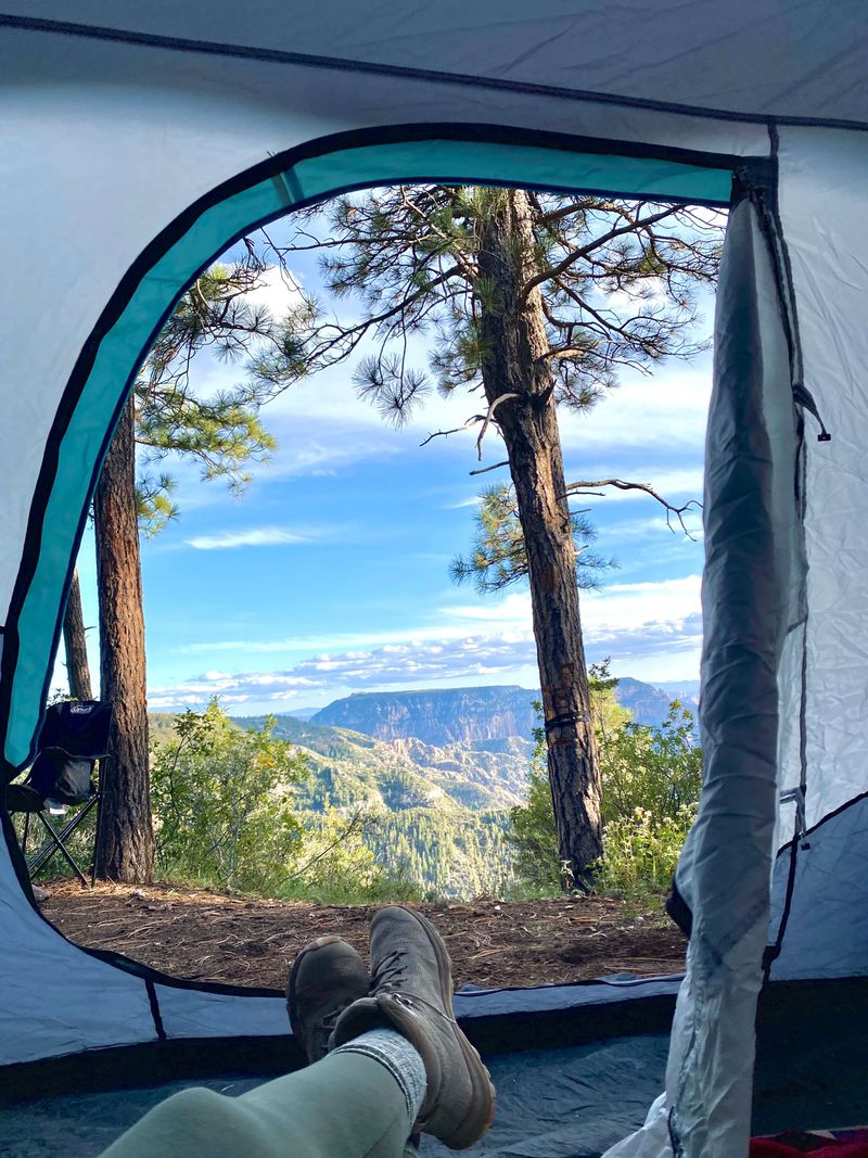 Campsites off Forest Road 231