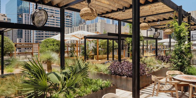 Arriba Abajo: Mezcal Sanctuary with Oaxacan Soul