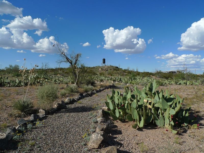 Stroll Through Desert Gardens