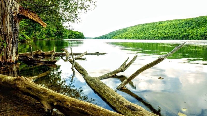 Plan Perfect Picnics and Camping Adventures