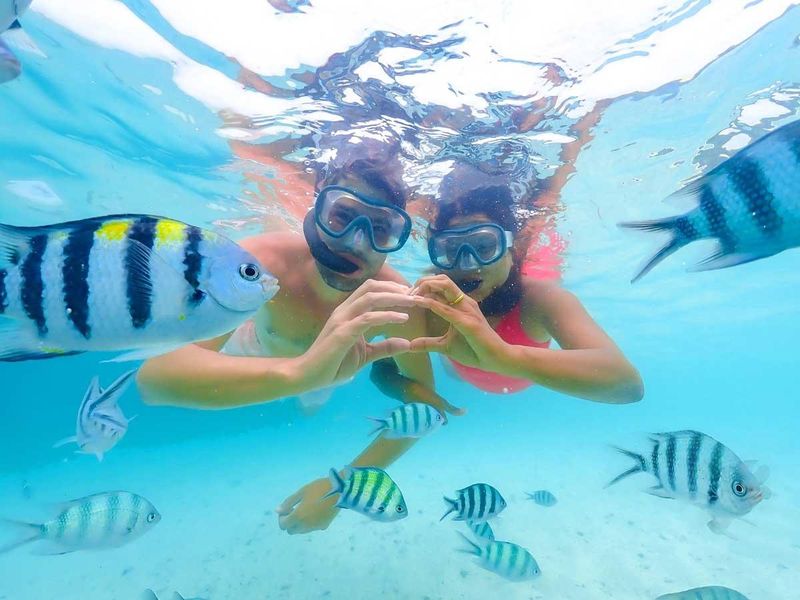 Top Snorkeling in Tampa Bay