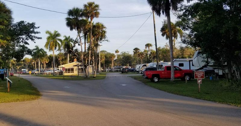 Collier-Seminole State Park: Gateway to the Wild