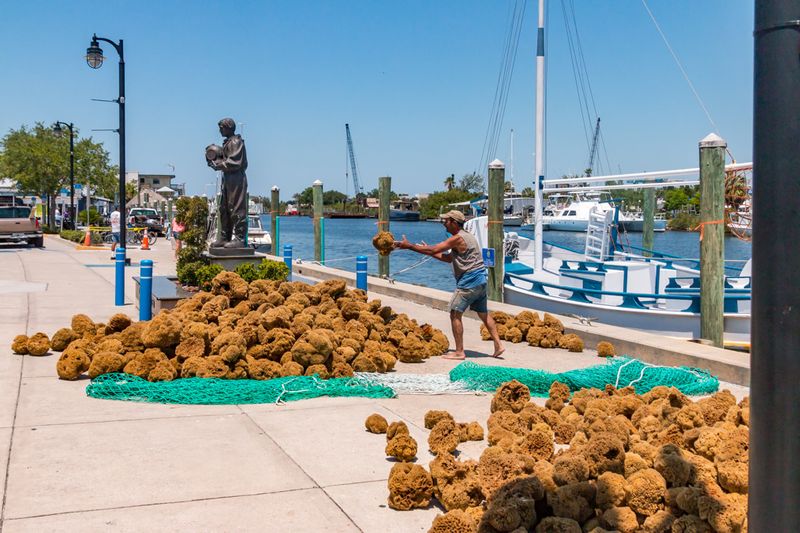 Tarpon Springs Sponge Docks