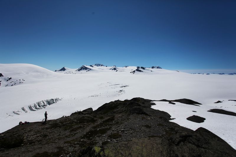 Harding Icefield Spans 700 Square Miles of Ancient Ice