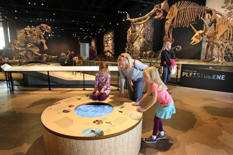 Play at the Natural History Museum of Utah