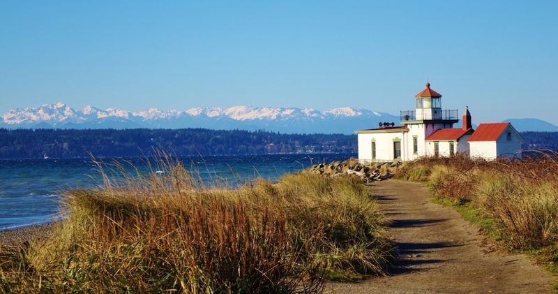 Hike Discovery Park's Hidden Trails