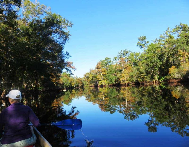 Paddle the Historic Withlacoochee River