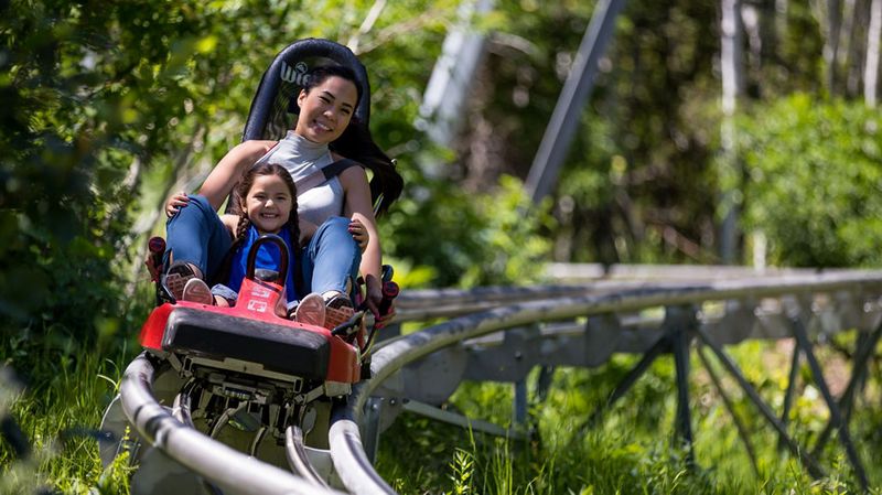 Ride the Alpine Coaster in Park City