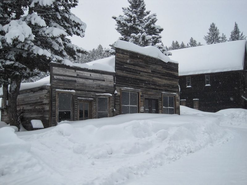 Winter's Eerie Solitude