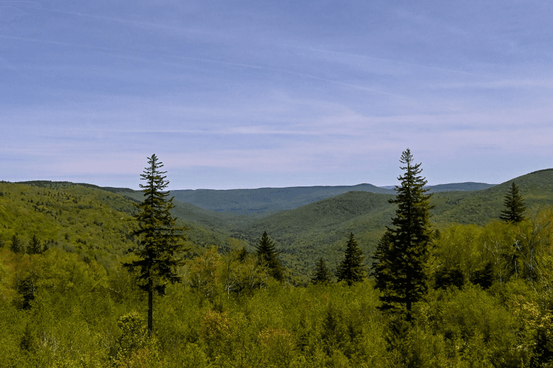 A Haven for Wildlife Spotting