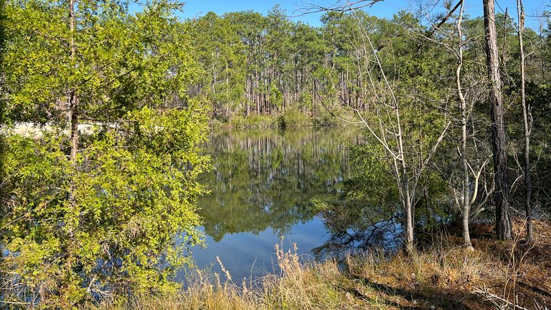 Gorgeous Hiking Trails