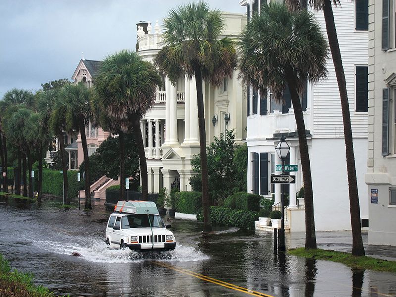 Tides, heat and wildlife basics