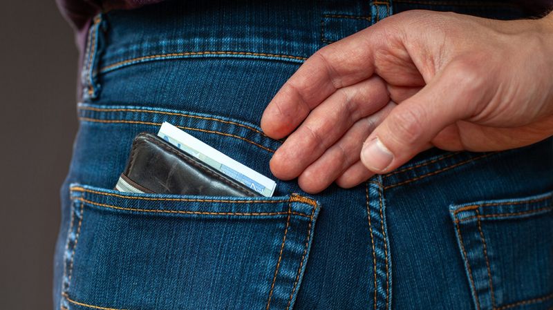 Distraction Wallet / Decoy Wallet