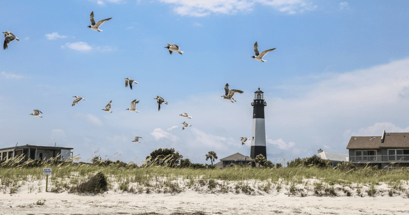 Walk the North Beach Birding Trail