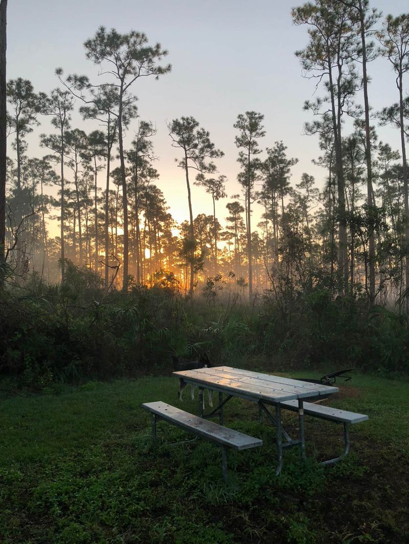 Long Pine Key Campground: Pine Forest Sanctuary
