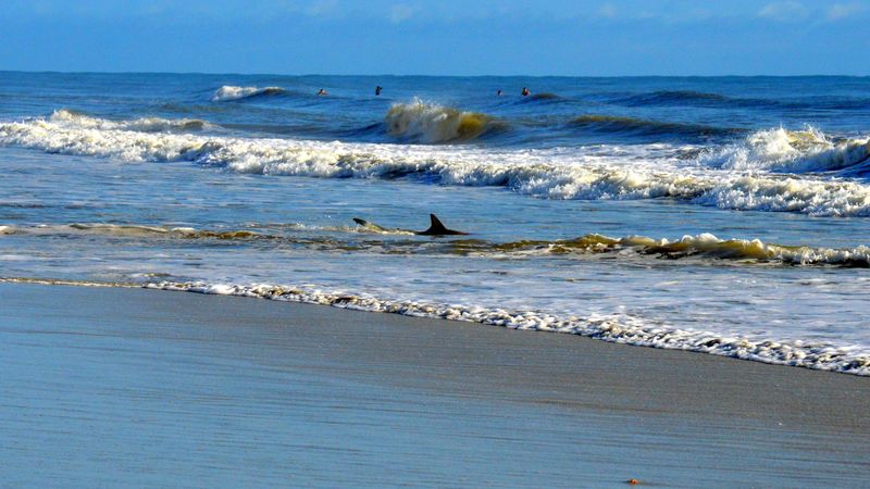 New Smyrna Beach (Volusia County)