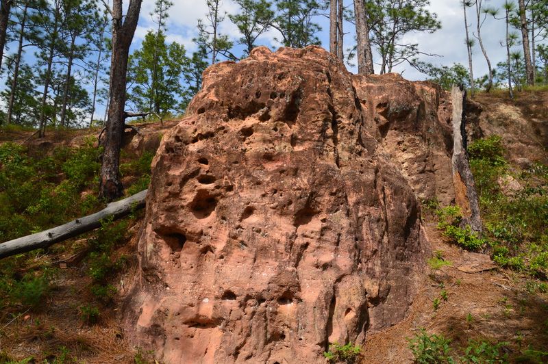 Mountain-Like Terrain That Defies Florida Expectations