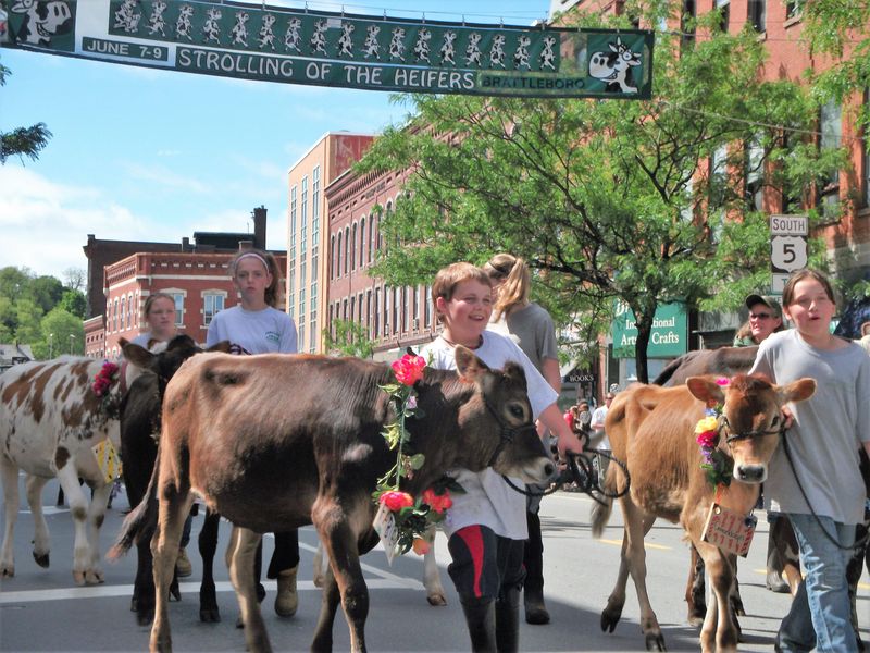A Community Gathering With Rural Roots