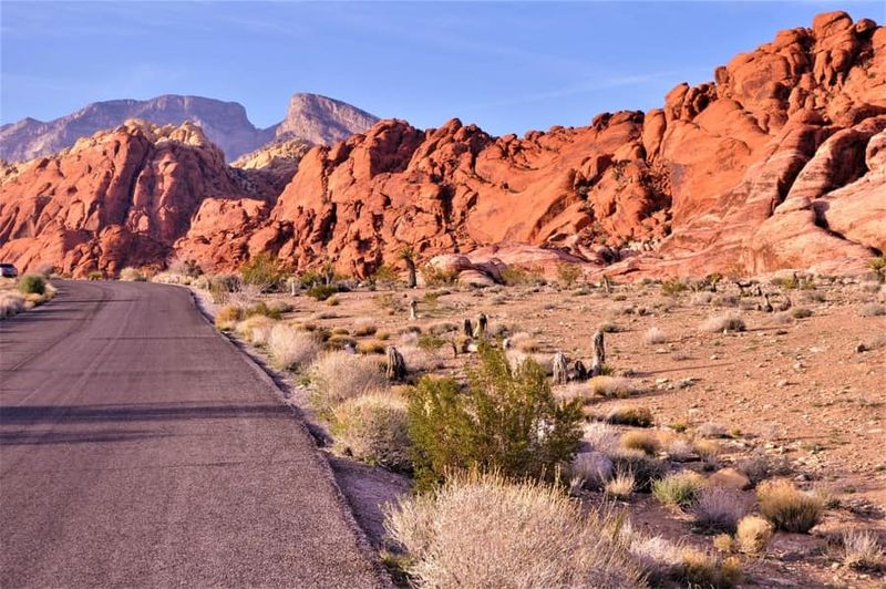 Red Rock Canyon National Conservation Area (≈30–40 mins west)