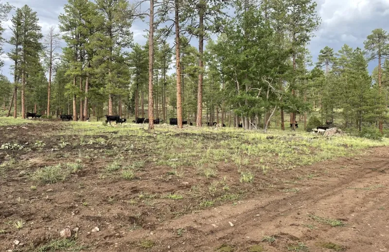 Luna Lake Wildlife Area Offers Easy Access