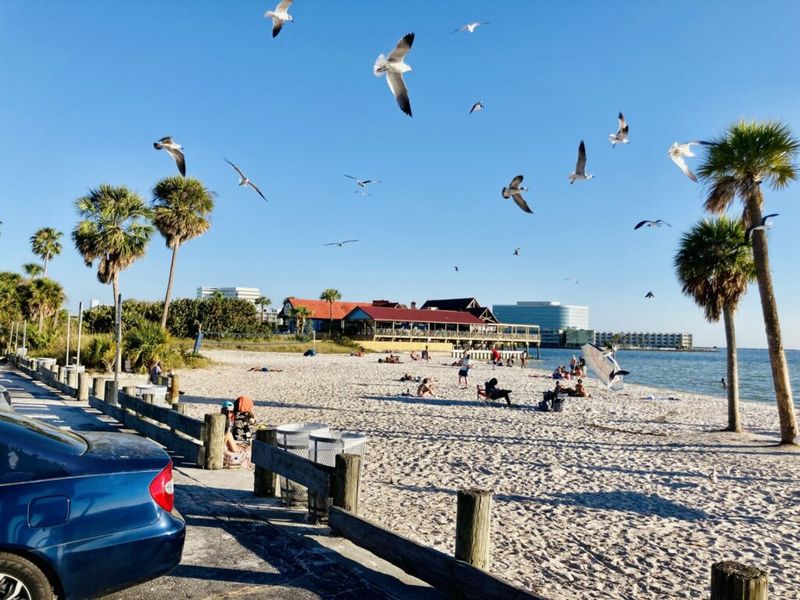 Ben T. Davis Beach (Tampa)