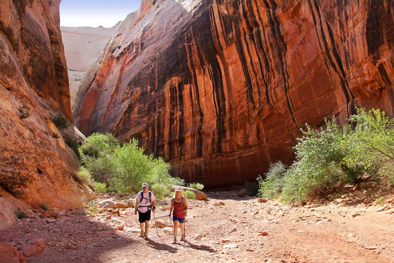 Grand Wash Narrows Sampler — Towering Walls Without the Full Commitment