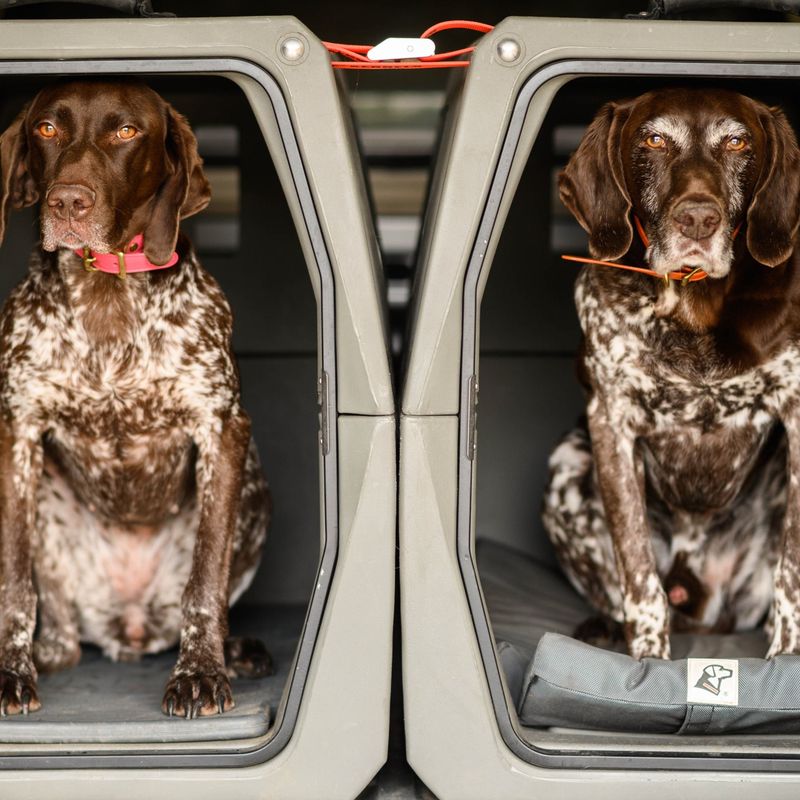 Gunner G1 Kennel