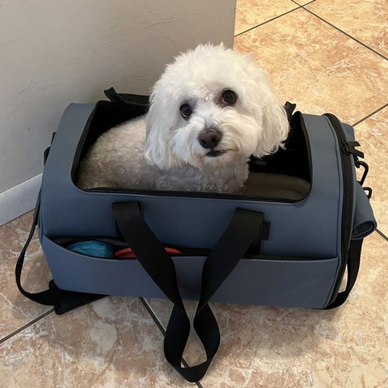 EliteField Soft-Sided Carrier – Budget and Practical